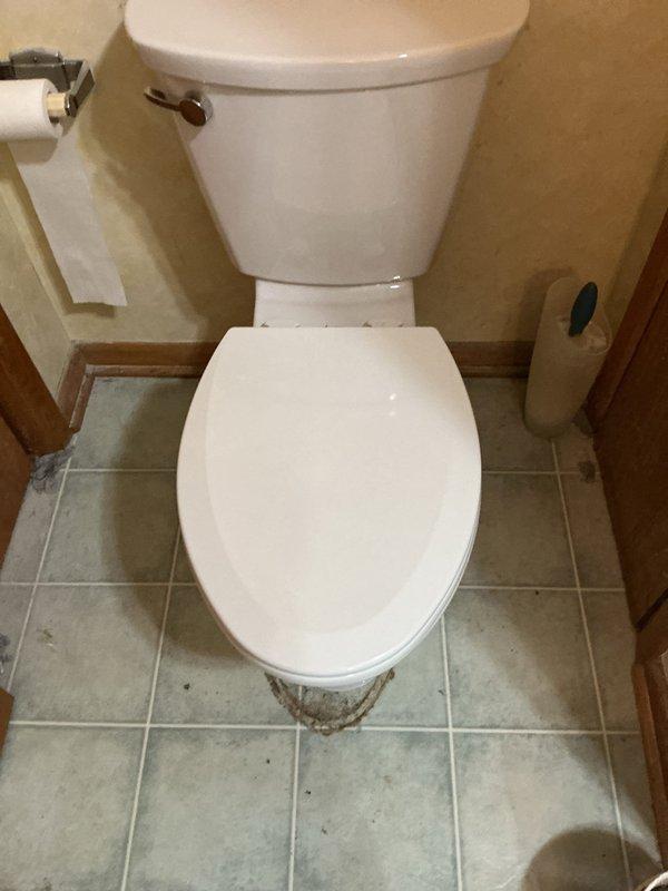 Removed and replaced old pressure-assisted toilet with new American Standard Cadet gravity-feed toilet, including new wax ring, floor bolts, and water supply line. Replaced existing two-handle center-set bathroom sink faucet with new chrome fixture, ensuring proper hot and cold water connections and testing for leaks. Installed new showerhead assembly to complete bathroom fixture upgrades. All replaced fixtures tested and verified operational upon completion.