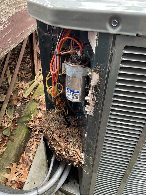 Responded to no cooling complaint on 12-year-old outdoor condensing unit. Upon arrival, found unit blowing warm air and discovered significant debris accumulation throughout the equipment, including dried leaves, twigs, and organic matter collected inside the cabinet and around internal components. Removed access panel to inspect electrical connections and compressor circuit. Located dual-run capacitor with multiple wire terminations showing signs of environmental exposure. Observed heavy dirt and grime buildup on contactor assembly and wiring connections. Cleaned debris from unit interior and base, removed organic material affecting airflow and component operation. Inspected all electrical connections including capacitor terminals with red, yellow, and black wire leads. Verified proper wire terminations and connection integrity on contractor and capacitor. Cleared PVC condensate drain lines of blockage potential. Assessed overall unit condition noting exterior weathering consistent wi