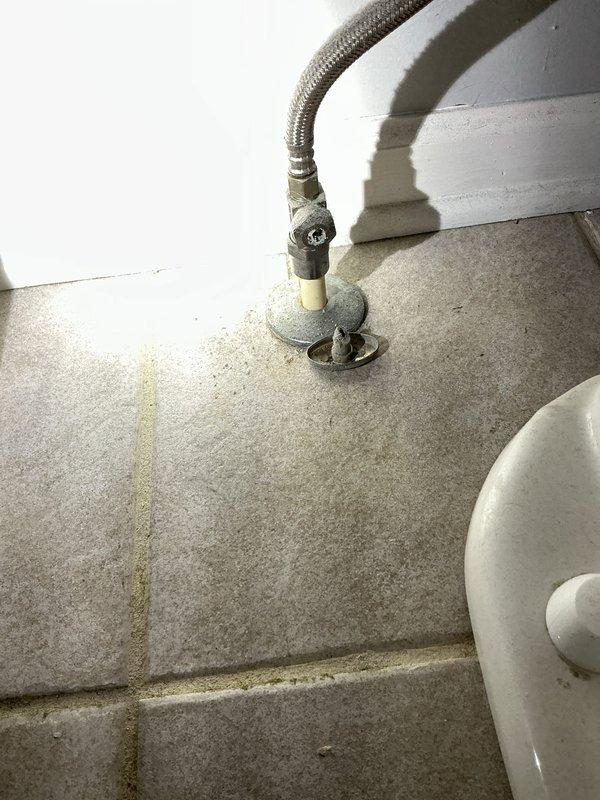 Responded to high water usage notification from water company. Upon inspection, investigated bathroom toilet as suspected source of leak. Examined toilet supply line connection, angle-stop valve, and floor-mounted plumbing assembly. Inspected braided stainless steel supply line, shut-off valve with escutcheon plate, and PVC riser pipe connection at tile floor interface. Documented visible water staining on grout lines and tile surfaces surrounding toilet base area. Photographed plumbing connections and mounting hardware to verify installation condition and identify potential leak points contributing to excessive water consumption.