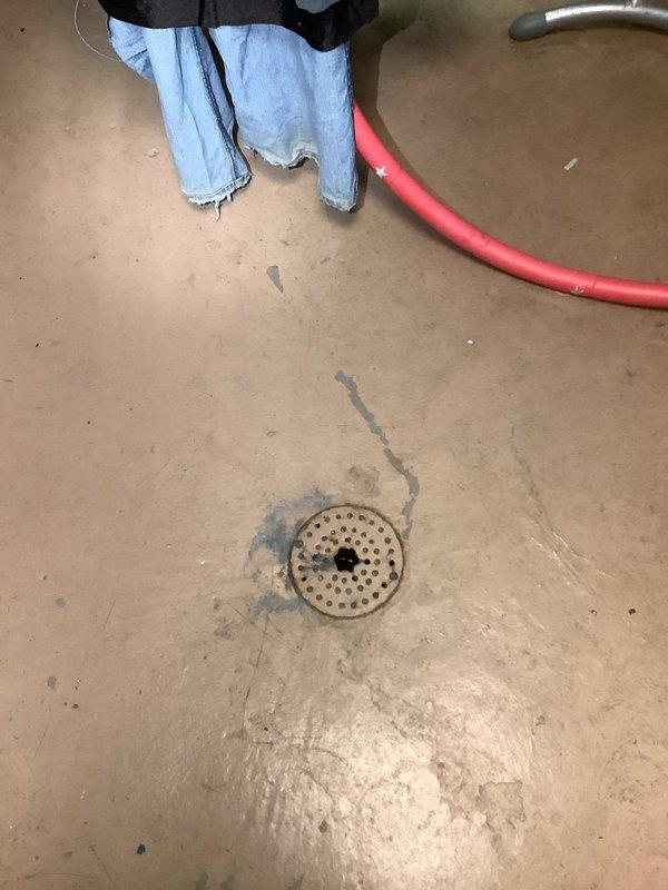 # Main Drain Cleanout

Responded to a main drain backup issue in a 70-year-old residential property where wastewater was overflowing onto the basement floor. Upon arrival, assessed the basement utility area and located the floor drain exhibiting active backup with visible water staining and discoloration on the surrounding concrete surface.

Deployed professional drain cleaning equipment, including a power auger with flexible cable, to access and clear the main sewer line. Worked systematically through the floor drain access point to break up and remove the obstruction causing the slow drainage and backup condition. The blockage was consistent with typical accumulations found in aging residential plumbing systems, including years of buildup from grease, soap residue, and organic debris.

Successfully cleared the main drain line and restored proper flow. Conducted water flow testing to verify complete clearance and confirm the drain was functioning at optimal capacity. Inspected the flo