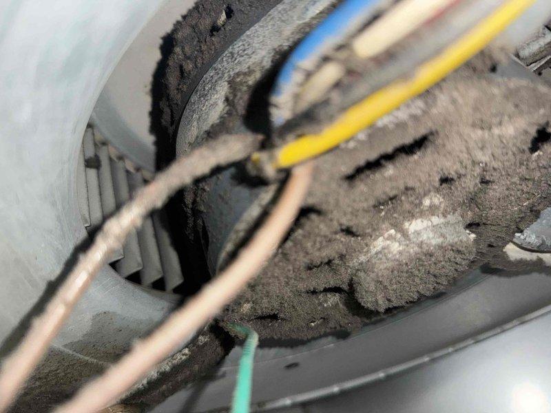 Completed comprehensive AC tune-up service including inspection of electrical components and blower assembly. System showed significant dust and debris accumulation on blower wheel and internal surfaces, with contactor and wiring connections exhibiting normal wear patterns consistent with extended operation period.