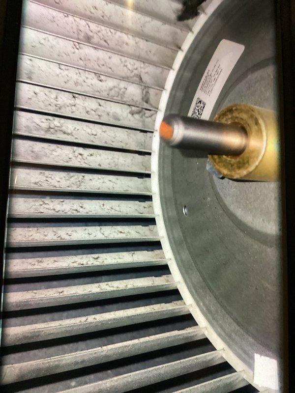 Completed preventive maintenance tune-up on two-year-old HVAC system. Performed thorough cleaning of blower assembly and squirrel cage fan wheel, removing accumulated dust and debris from motor housing and evaporator coil area. Inspected all refrigerant lines, electrical connections, and mechanical components; unit found to be in good operating condition with normal wear for age.