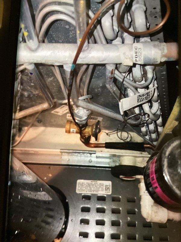Completed preventive maintenance tune-up on two-year-old HVAC system. Performed thorough cleaning of blower assembly and squirrel cage fan wheel, removing accumulated dust and debris from motor housing and evaporator coil area. Inspected all refrigerant lines, electrical connections, and mechanical components; unit found to be in good operating condition with normal wear for age.