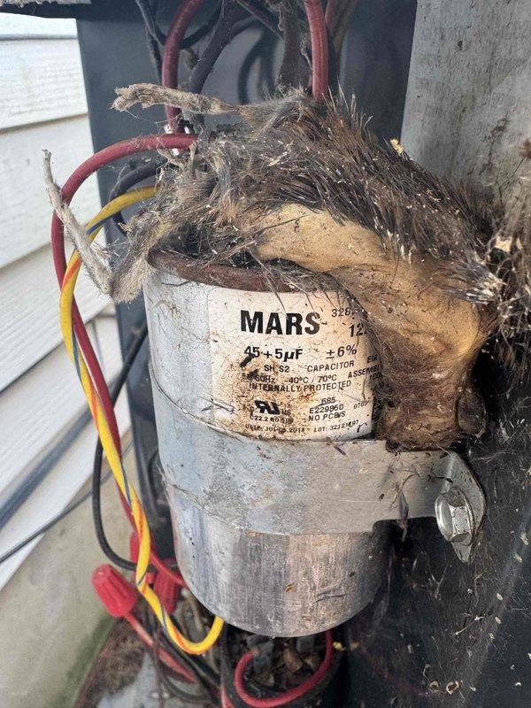 Completed preventive maintenance on 16-year-old air conditioning system. Discovered and replaced failed dual-run capacitor (45+5µF) which had ruptured and expelled internal insulation material. Cleared condensation drain line as requested to restore proper drainage and prevent water backup.
