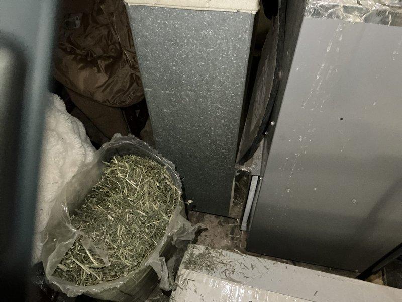 Completed HVAC system replacement estimate for 25-year-old air conditioning system. Assessed existing indoor air handler unit located in utility space and outdoor condenser unit positioned against exterior brick wall. Documented equipment conditions and provided quote for complete system replacement with updated equipment specifications.