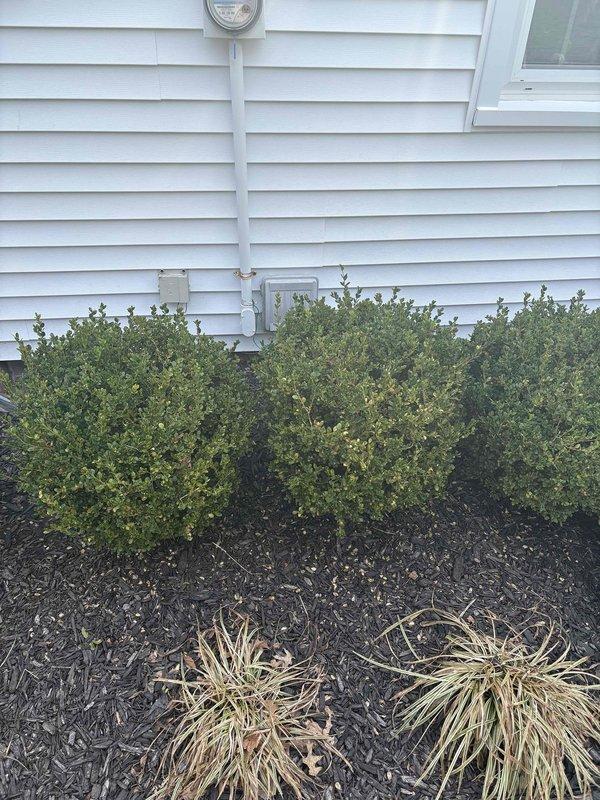 Conducted on-site electrical estimate for residential standby generator installation. Assessed existing electrical service, meter location, and optimal placement area in backyard patio space. Documented site conditions including access points, foundation clearances, and electrical routing requirements from main service panel to proposed generator location.