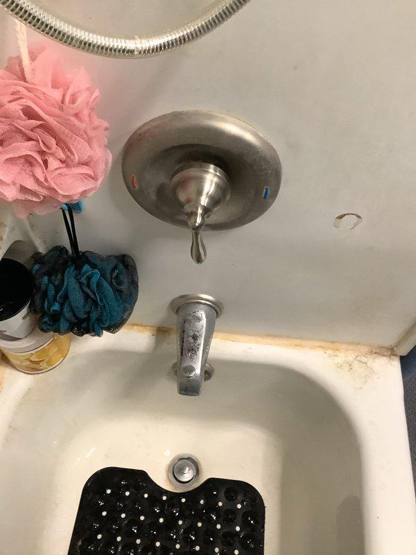 Replaced defective tub spout assembly in bathroom fixture. Ordered and installed new spout hardware upon parts arrival at shop. Verified proper water flow and secure mounting of replacement component, completing repair to restore full functionality of bathtub plumbing fixture.