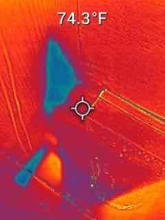 Responded to service call for water leakage from 2-year-old furnace system causing damage to finished basement carpet. Plumbing sources had been previously ruled out by licensed plumber. Performed diagnostic inspection and utilized thermal imaging camera to identify temperature anomalies and moisture intrusion patterns in ductwork and surrounding areas. Thermal scans revealed cool spots indicating active moisture presence at multiple locations, with temperature differentials ranging from 71.8°F to 74.3°F across affected surfaces. Investigation suggests improper condensate drainage or installation deficiencies may be contributing to water accumulation in duct system. Documented findings with thermal imagery showing distinct cool zones consistent with water infiltration. Advised customer of diagnostic results and discussed membership program renewal options.