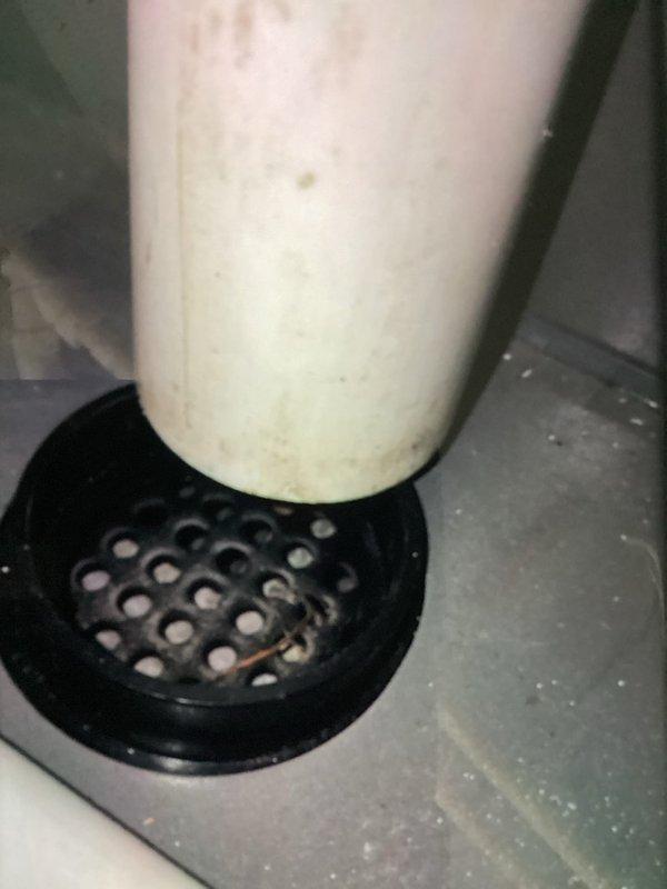 Completed comprehensive MVP furnace and air conditioning maintenance service per scheduled appointment. Performed standard preventive maintenance procedures on both heating and cooling systems, including inspection of ductwork components, condensate drain line, and associated HVAC infrastructure. All systems were evaluated, cleaned where necessary, and confirmed to be operating within normal parameters.