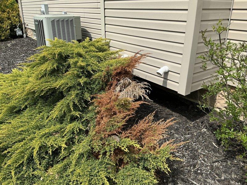 Conducted site evaluation for residential standby generator installation. Assessed exterior location near existing HVAC equipment, confirmed adequate clearance from landscaping and building structure, verified HOA compliance based on existing generators in neighborhood, documented installation area with photographs, and coordinated arrival time with customer.