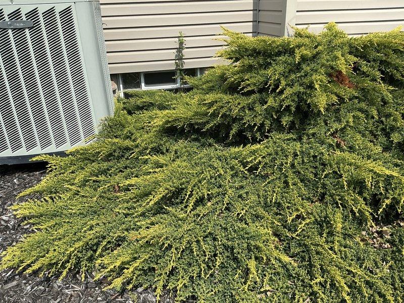 Conducted site evaluation for residential standby generator installation. Assessed exterior location near existing HVAC equipment, confirmed adequate clearance from landscaping and building structure, verified HOA compliance based on existing generators in neighborhood, documented installation area with photographs, and coordinated arrival time with customer.