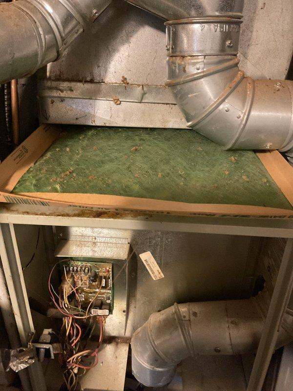Completed MVP cooling maintenance visit on 13-year-old Trane system. Inspected indoor air handler components including filter media, ductwork connections, and electrical controls; filter showed normal dust accumulation for service interval. Evaluated outdoor condensing unit, verified proper installation clearances, and documented system condition with photographic records for maintenance history.