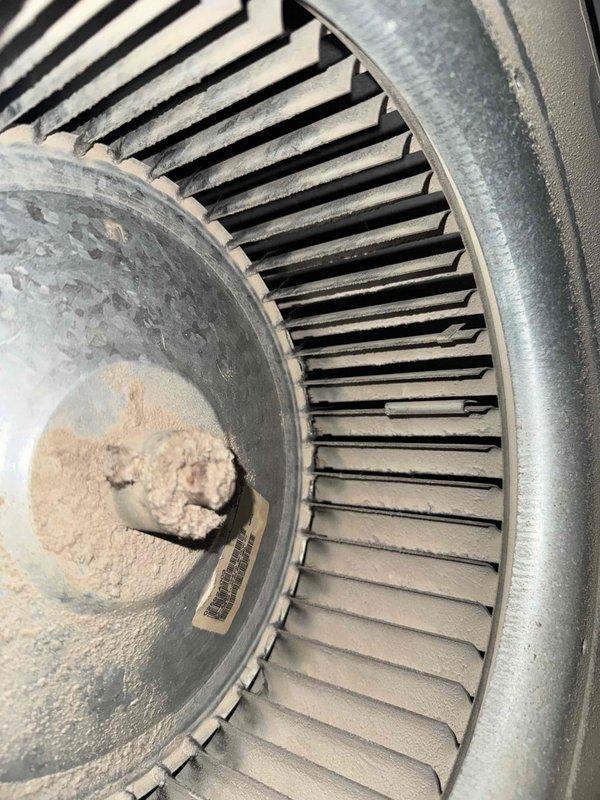 Responded to no cooling complaint with unit blowing warm air and failing to reach thermostat setpoint. Upon inspection, found blower wheel heavily contaminated with dust and debris accumulation affecting airflow. Cleaned blower assembly and motor components, restored proper system operation and airflow.
