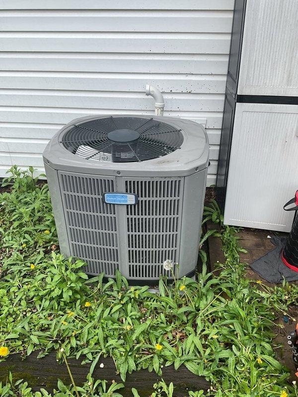# HVAC Service Report

Responded to no cooling complaint on 5-year-old residential air conditioning system. Upon arrival, confirmed indoor blower motor operational but outdoor condensing unit failed to start. Performed visual inspection of outdoor unit, noting overgrown vegetation surrounding equipment and heavy cobweb accumulation on electrical components indicating lack of recent maintenance.

Conducted electrical diagnostics at condensing unit. Tested contactor operation and found failed to energize when thermostat called for cooling. Verified 24-volt control circuit present at contactor coil. Identified defective contactor as root cause preventing compressor and condenser fan motor from receiving power. 

Replaced failed contactor with new component rated to manufacturer specifications. Cleared excessive cobwebs from electrical panel and capacitor area to ensure proper ventilation and prevent future electrical issues. Verified all wire connections secure and properly terminated. Cy