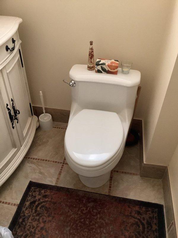 Conducted complimentary on-site consultation to provide toilet replacement quote and review available fixture options with customer. Assessed existing toilet condition and bathroom configuration, documented current installation with photographs, and discussed customer preferences for new toilet models including features, specifications, and installation requirements.