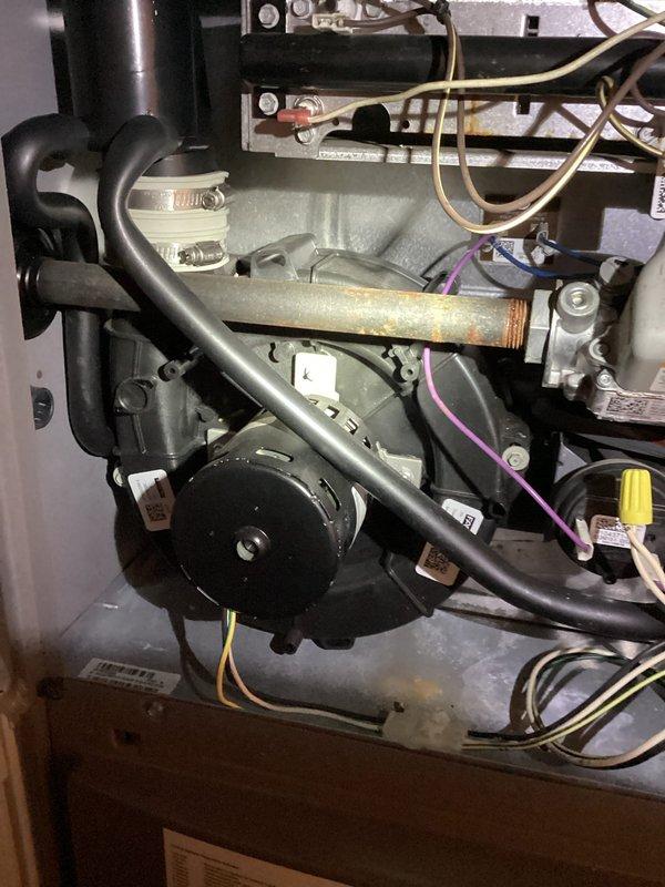 Completed routine MVP heating maintenance visit on residential HVAC system. Performed comprehensive inspection of furnace internal components including blower motor assembly, heat exchanger, circulator pump, and electrical connections. All wiring harnesses, wire nuts, and connection points were examined and found secure with proper routing throughout the unit. Verified operational status of all mechanical components with no issues identified during inspection.