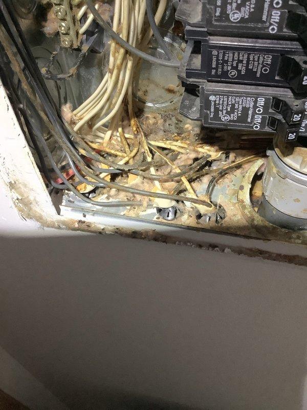 Responded to electrical outage affecting approximately two-thirds of modular home that had been vacant for three and a half months. Upon arrival, conducted comprehensive evaluation of electrical system to identify cause of power loss suspected to be related to rodent damage from mouse infestation.

Performed thorough inspection of main electrical panel and discovered extensive corrosion and water damage throughout the enclosure. Panel exhibited significant rust accumulation on bottom surfaces and lower portions, with corrosion extending to terminal connections and internal components. Found degraded and discolored wiring with compromised insulation showing signs of aging and environmental exposure. Observed disorganized and tangled wiring in lower section of panel with accumulated debris and particulate matter.

Documented conditions with photographs showing corroded bussing connections, deteriorated circuit breakers, and moisture-damaged electrical components. Panel condition indicate
