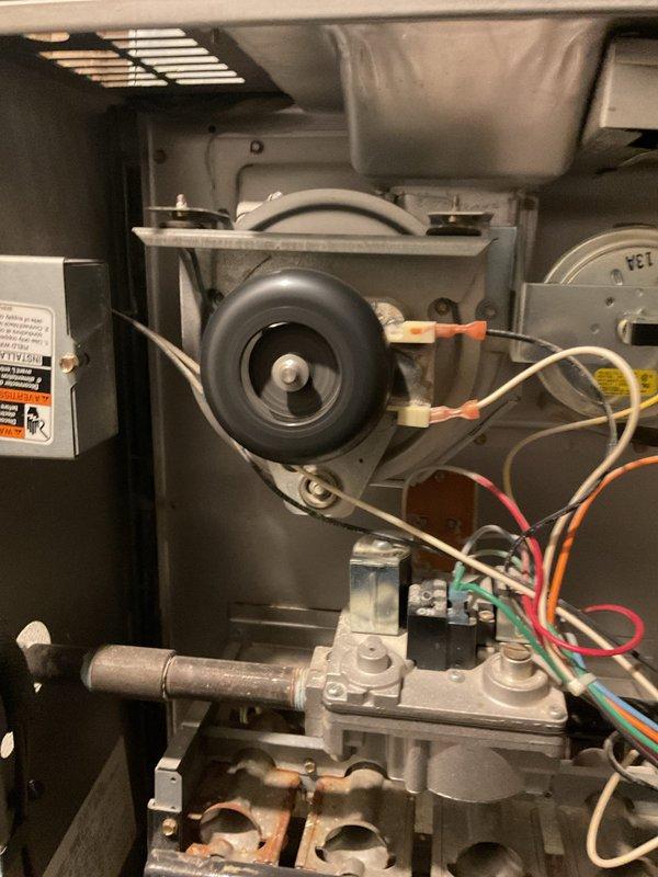 Responded to no-heat call on 25-year-old Carrier furnace. Upon arrival, found unit would not maintain flame after manual reset - pilot light would ignite then extinguish shortly after. Diagnosed intermittent flame sensor failure causing safety lockout on aging system. Documented existing equipment condition with photos showing furnace cabinet, internal components including blower assembly, gas valve, and control wiring.