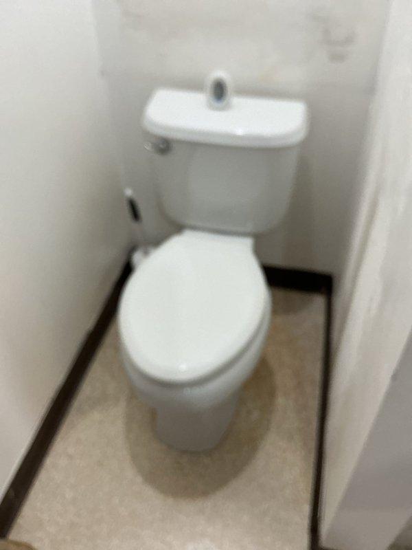 Responded to service call for leaking toilet that was discharging water after flushing. Inspected toilet fixture and drainage assembly, identified source of leak, and performed necessary repairs to resolve the issue. Provided estimate for complete removal and replacement of second toilet unit at the property.