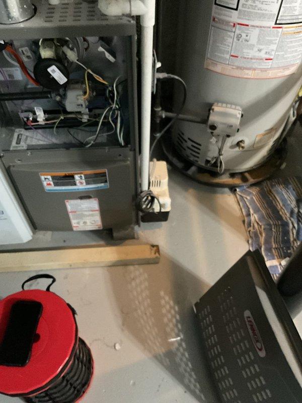 Responded to service call for loud noise complaint on two-year-old furnace system. Upon arrival, performed complete visual inspection of furnace unit with access panel removed, examining internal components including blower assembly, inducer motor, heat exchanger, and control board for signs of mechanical failure or loose components. All internal wiring, connections, and mounting hardware were inspected for proper security. Unable to replicate reported noise condition during operational testing. Exterior condenser unit was observed with significant debris accumulation on cooling coils, which may contribute to system strain and unusual operational sounds. Customer contact requested prior to scheduling return visit for further diagnostic evaluation if noise condition persists.