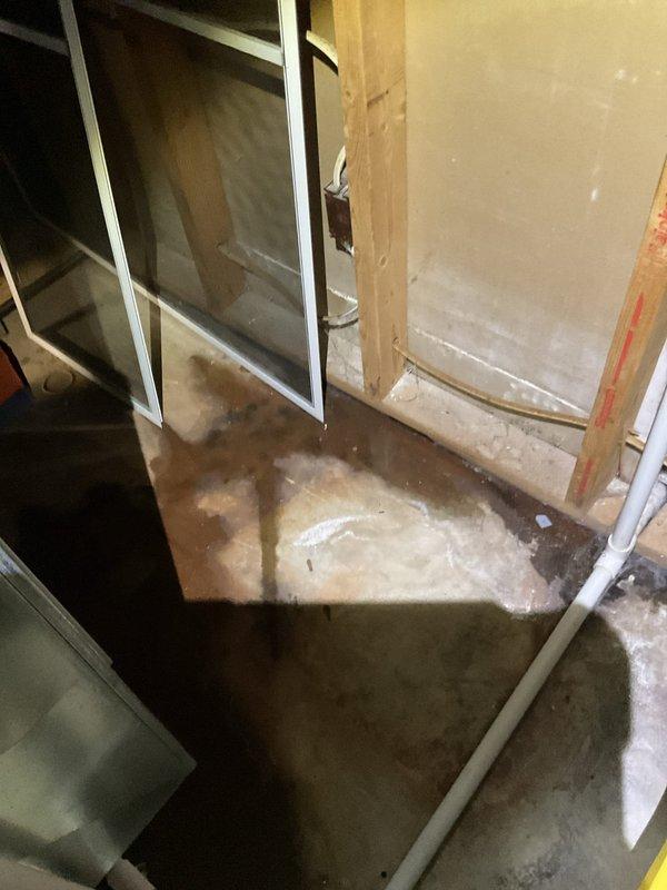 Responded to no heat call on 2-year-old natural gas furnace displaying error code. Unit attempted ignition sequence but failed to fire. Upon arrival, discovered significant water infiltration on basement floor surrounding furnace area. Determined condensate drainage system failure causing water accumulation around equipment base, which triggered safety lockout preventing ignition. Condensate line obstruction cleared and drainage system restored to proper operation. Verified furnace resumed normal heating cycle after water issue resolved and safety controls reset.