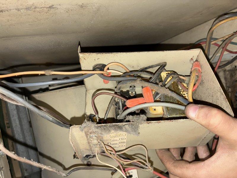 Completed comprehensive AC tune-up on 16-year-old cooling system as previously quoted. Removed and thoroughly cleaned blower motor assembly and squirrel cage fan wheel, inspected electrical connections and wiring in junction box, and cleaned condenser coils. System tested and confirmed operational upon completion.