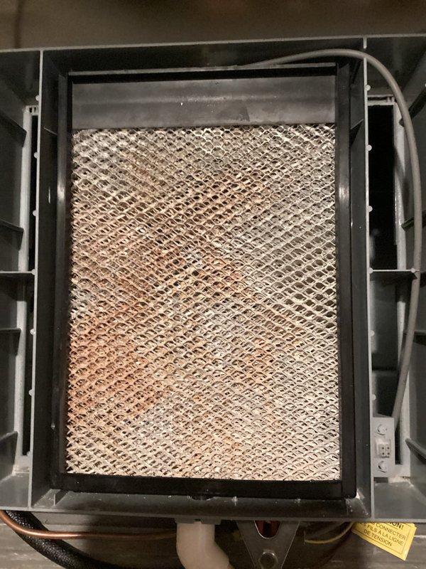 Completed routine BS-MVP cooling maintenance on 4-year-old Lennox air conditioning system. Inspected outdoor condenser unit, verified clean condenser coils and proper clearances, and documented humidifier filter pad condition showing mineral buildup within the air handler. All components photographed and system found operational with no immediate service needs identified.