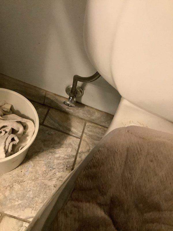 Responded to service call for malfunctioning toilet shut-off valve and broken flush handle. Upon arrival, found customer had shut off main water supply to entire house due to faulty fixture components. Replaced defective angle stop valve on water supply line to restore proper shut-off functionality at the fixture level. Installed new Sloan-style flush handle assembly to replace broken actuator mechanism. Restored water supply to house, tested toilet for proper fill, flush operation, and verified no leaks at connections. Left fixture fully operational with customer able to control water supply at toilet level.