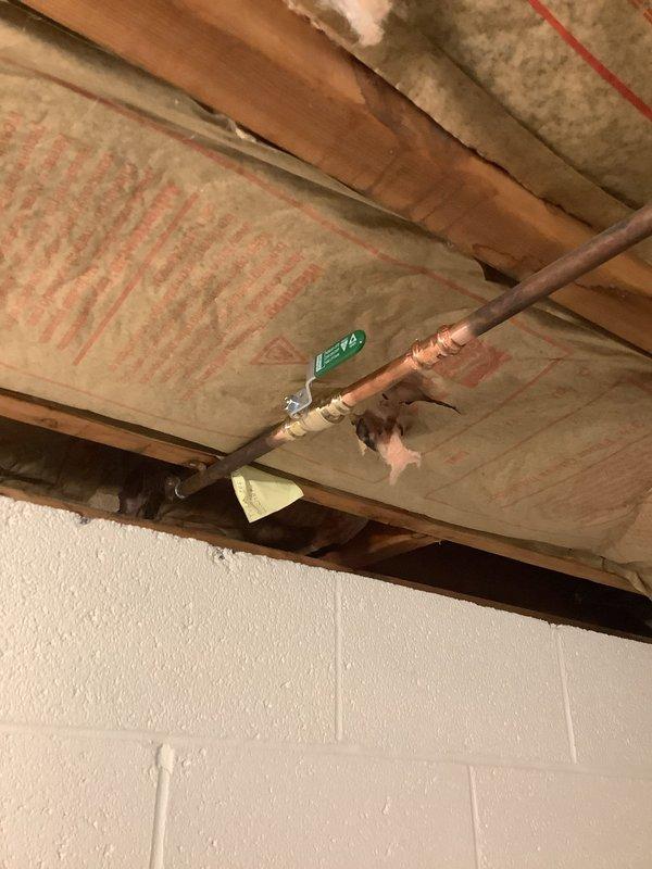 Responded to service call to inspect two outdoor spigots and associated shut-off valve. Located and examined interior shut-off valve in ceiling cavity controlling courtyard faucet, identifying copper supply line with green valve fixture accessible through exposed joist space with insulation. Documented existing plumbing infrastructure including valve location, pipe routing, and accessibility for future reference. Completed diagnostic inspection of outdoor spigot system and provided findings to customer regarding current condition of shut-off valve and supply lines.