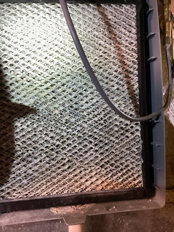 Completed MVP cooling maintenance visit on 4-year-old HVAC system. Performed comprehensive inspection of evaporator coil assembly, noting chevron-configured aluminum fins with some dust accumulation and minor discoloration in upper sections. Examined refrigerant lines, copper tubing connections, and mounting hardware—all connections secure with normal oxidation patina present for system age. Inspected condensate pan showing appropriate moisture drainage. Verified coil clearances within enclosure and assessed overall system condition. Unit operational with components functioning within normal parameters for age and usage.