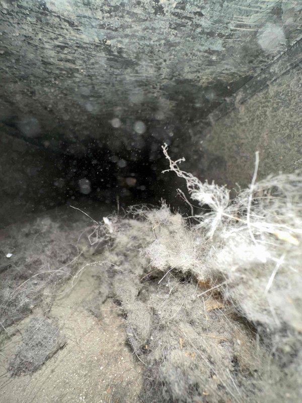 # HVAC Duct Cleaning and Humidifier Maintenance

Performed comprehensive duct cleaning service for residential HVAC system with approximately 8 supply and return vents. Upon initial inspection, discovered extensive biological growth, including mold and mildew contamination throughout the main trunk line and branch ductwork. Noted significant accumulation of dust, debris, and fibrous insulation material within the ventilation system, indicating prolonged lack of maintenance.

Utilized negative air pressure equipment and rotary brush system to thoroughly clean all accessible ductwork from supply plenum through branch runs to individual vent terminals. Removed heavy deposits of mold, dust, lint, and organic matter from interior duct surfaces. Applied particular attention to corner joints and connection points where contamination was most concentrated. Addressed water damage indicators and surface corrosion observed on interior metal surfaces.

Cleaned ceiling, wall, and floor surfaces of 