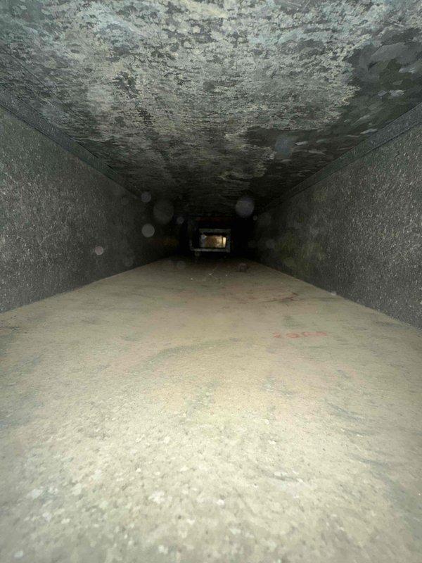 # HVAC Duct Cleaning and Humidifier Maintenance

Performed comprehensive duct cleaning service for residential HVAC system with approximately 8 supply and return vents. Upon initial inspection, discovered extensive biological growth, including mold and mildew contamination throughout the main trunk line and branch ductwork. Noted significant accumulation of dust, debris, and fibrous insulation material within the ventilation system, indicating prolonged lack of maintenance.

Utilized negative air pressure equipment and rotary brush system to thoroughly clean all accessible ductwork from supply plenum through branch runs to individual vent terminals. Removed heavy deposits of mold, dust, lint, and organic matter from interior duct surfaces. Applied particular attention to corner joints and connection points where contamination was most concentrated. Addressed water damage indicators and surface corrosion observed on interior metal surfaces.

Cleaned ceiling, wall, and floor surfaces of 