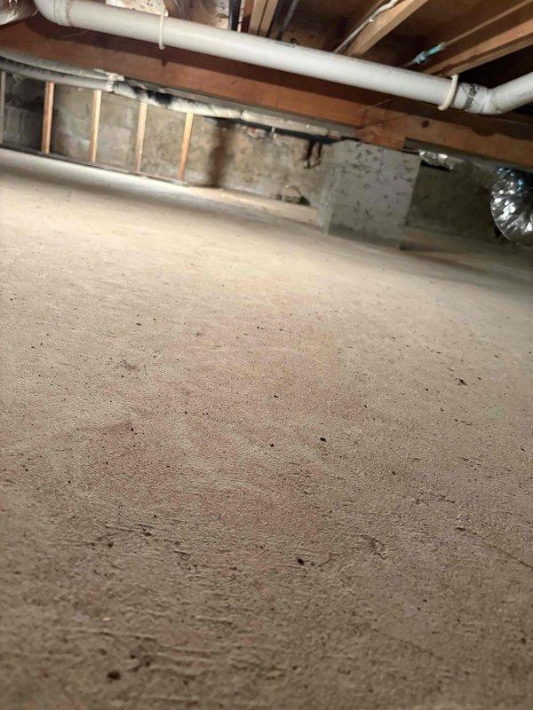 Conducted electrical estimate for whole-house generator installation at residential property. Assessed crawl space and basement areas to determine optimal routing for electrical conduit and transfer switch placement. Documented existing electrical infrastructure, HVAC ductwork clearances, and structural considerations for future generator pad installation and service disconnect requirements.