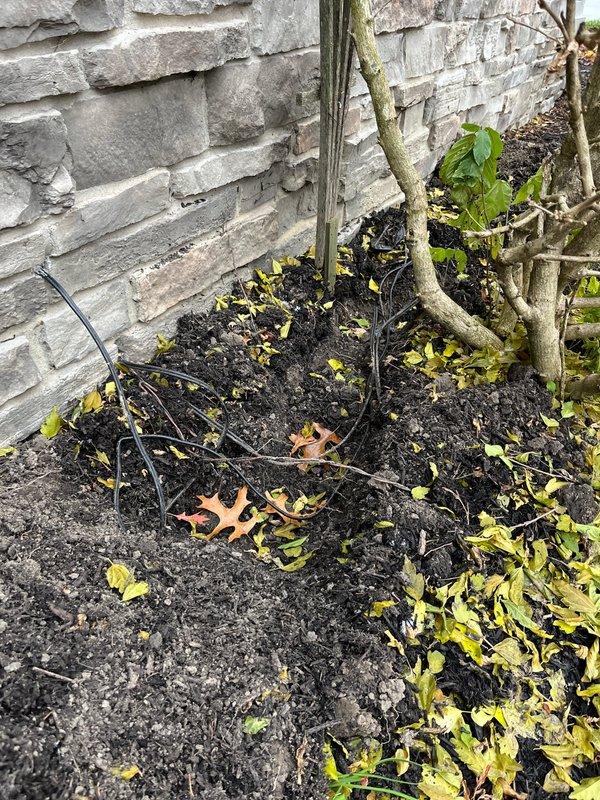 Installed new electrical line to lamp post in landscaped area adjacent to building foundation. Coordinated trenching work with property supply contractor and utility locate services prior to installation. Completed lamp post electrical connection and verified proper operation of fixture.