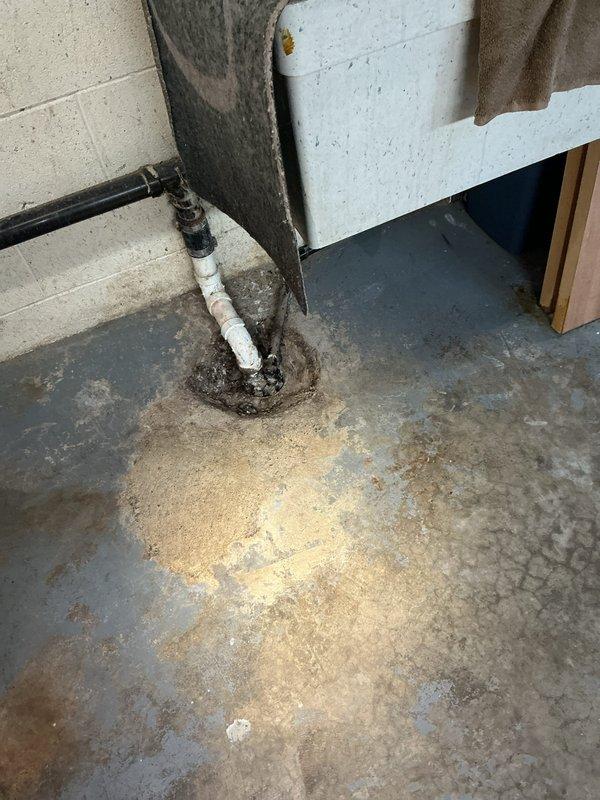 Responded to main drain backup in basement. Upon arrival, located the main drain cleanout access point near vertical stack penetrating floor structure. Evidence of active drainage issues was visible with significant water staining and discoloration on concrete floor surrounding drain area. Assessed PVC drain line connection and black flexible drainage components for blockages and flow restrictions. Performed drain cleanout procedure to clear obstruction in main line. Verified proper drainage flow restored through system. Documented existing corrosion on metal flange at pipe penetration point and moisture damage to surrounding floor area for customer awareness.