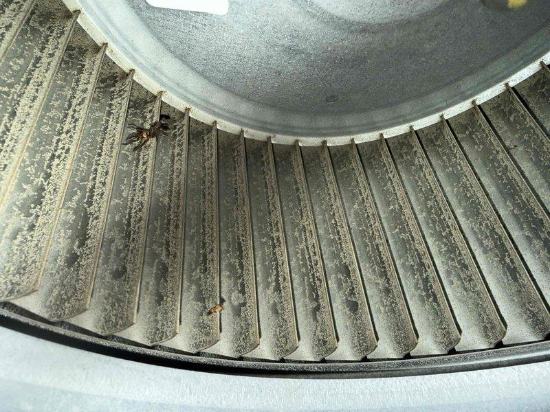 Completed MVP recurring cooling maintenance visit on a 7-year-old system. Inspected blower wheel assembly and documented significant dust and debris accumulation on fins and interior surfaces requiring attention for optimal airflow efficiency. Performed standard preventive maintenance procedures on the furnace and air handling components, verified all mechanical systems operational, and documented equipment condition with photographic records for service history.