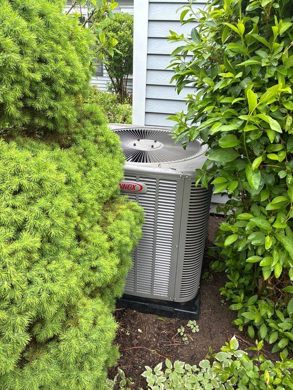 Completed comprehensive MVP AC maintenance on residential outdoor cooling unit. Performed thorough inspection of condenser unit exterior, verified proper clearance around equipment and adequate airflow through louvered panels. Accessed electrical compartment and inspected all internal components including contactor, capacitor, and associated wiring connections. Verified all electrical connections were secure and free of corrosion, confirmed capacitor readings within manufacturer specifications, and ensured proper operation of contactor. System operating efficiently with no deficiencies noted.