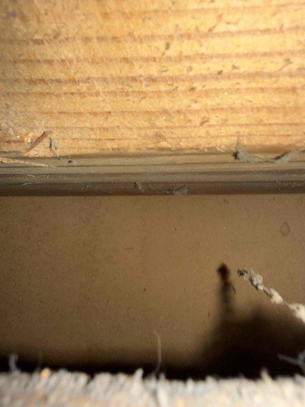 Completed comprehensive duct cleaning service for system with up to 14 vents, including mold and aroma treatment. Accessed ductwork through various entry points, removed accumulated dust, debris, and contaminants from supply and return air pathways, and applied antimicrobial treatment to address mold concerns and eliminate odors. Documentation photos captured insulation components and trim areas near vent locations to verify thorough access and cleaning completion.