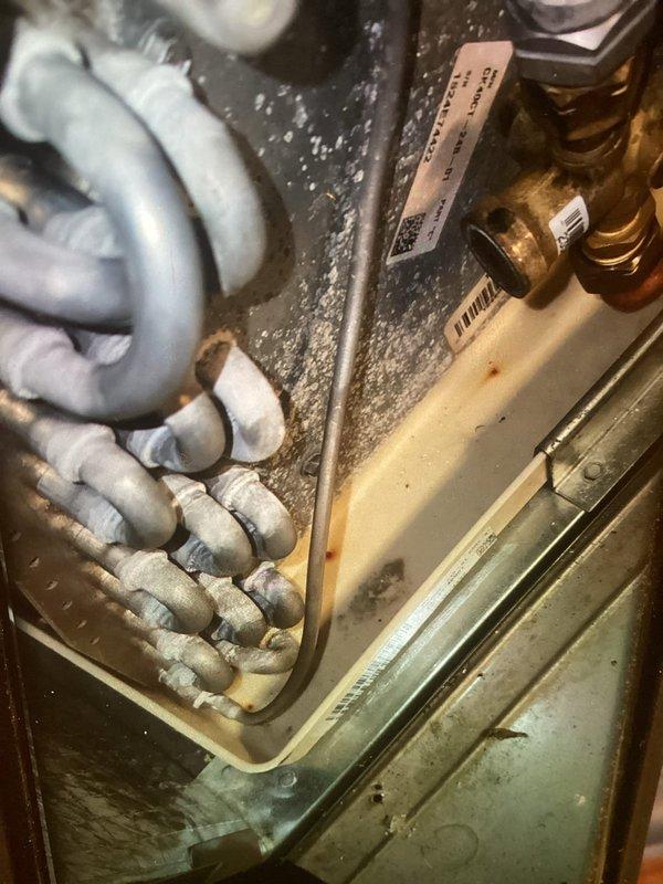 Performed annual maintenance on one-year-old air conditioning system under MVP plan. Inspected evaporator coils, refrigerant lines, and service valves, noting normal dust accumulation for equipment age. Examined air filter showing dirt buildup and documented system condition through photos for maintenance records.