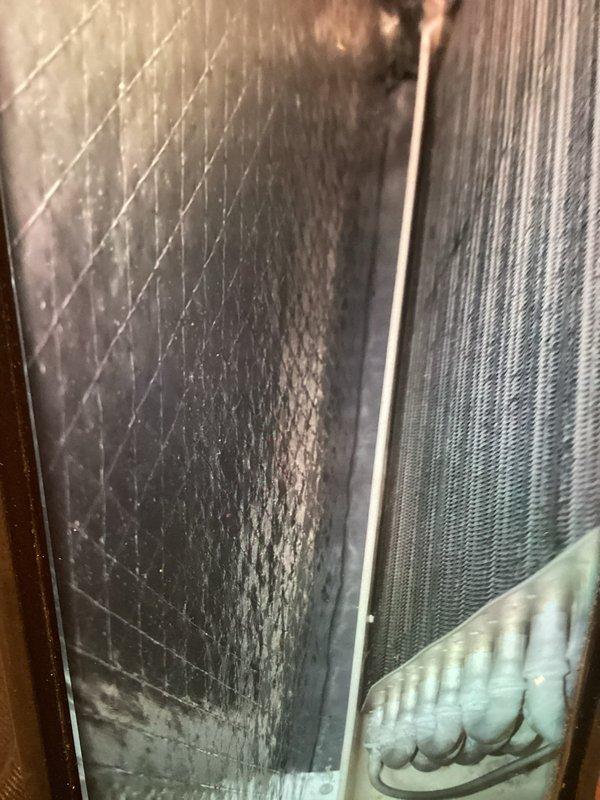 Performed annual maintenance on one-year-old air conditioning system under MVP plan. Inspected evaporator coils, refrigerant lines, and service valves, noting normal dust accumulation for equipment age. Examined air filter showing dirt buildup and documented system condition through photos for maintenance records.