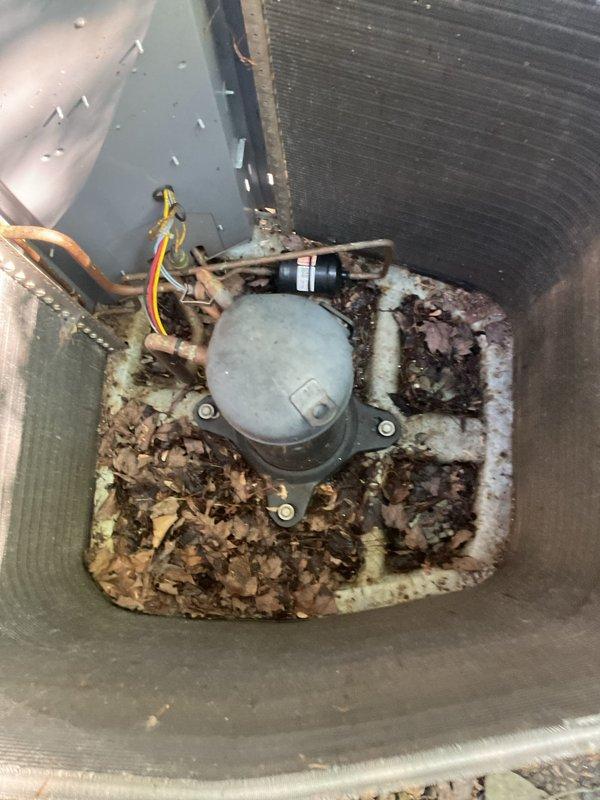 Completed routine AC maintenance and tune-up on residential cooling system. Upon arrival, performed comprehensive system inspection revealing significant debris accumulation including dead leaves and organic matter around compressor unit and base plate. Thoroughly cleaned compressor area, removing all debris from base plate and surrounding components. Observed moderate corrosion and oxidation on metal surfaces and base plate from prolonged outdoor exposure. Checked refrigerant lines and electrical connections at compressor, confirmed secure attachment of copper tubing and wiring. Inspected condenser coil fins for blockage and damage. Measured supply air temperature at 60.6°F using digital thermometer to verify proper cooling operation. Assessed ceiling area above unit, noted water staining and moisture damage patterns on concrete surface. System operational following cleaning and inspection, cooling adequately for current conditions.