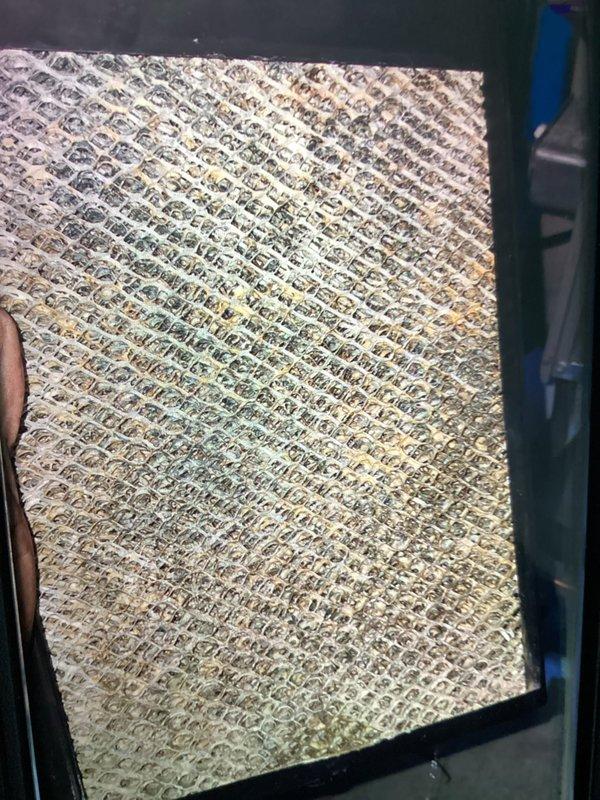 Completed scheduled MVP cooling maintenance visit on 5-year-old system at 8am appointment. Upon inspection, discovered significant corrosion and rust on evaporator coil fins and surrounding metal surfaces, along with substantial dust and mineral deposit accumulation on the coil mesh structure. Documented equipment condition with detailed photographs showing oxidation on coil assembly and discoloration throughout the heat exchanger components, indicating need for monitoring and potential future service requirements.