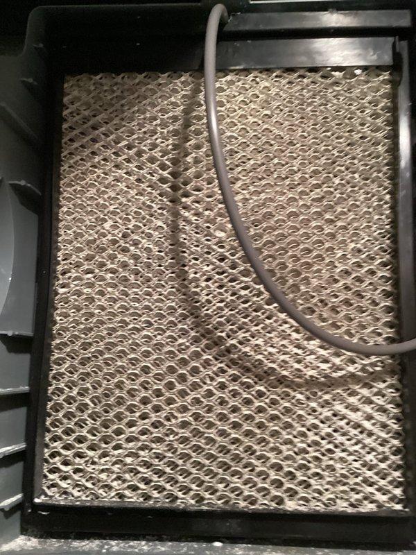 Completed scheduled MVP cooling maintenance visit on residential air conditioning system. Inspected indoor air handler unit and replaced/cleaned air filter showing moderate dust accumulation, verified proper airflow through HVAC system. Performed exterior condenser unit inspection, noting weathered cabinet finish with mineral deposits on top panel and debris accumulation around base - unit operational with fan guard intact and proper ventilation maintained through louvers.