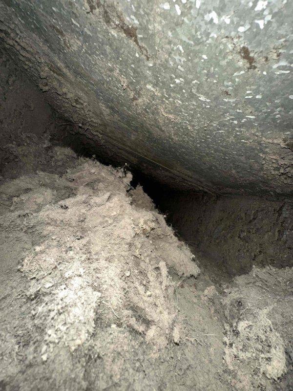 Completed comprehensive duct cleaning service for residential HVAC system covering up to 14 vents. Accessed ductwork through attic crawl space and removed significant accumulation of dust, debris, and lint from interior duct surfaces using specialized vacuum equipment. Heavy dust buildup was present on curved metal surfaces and horizontal sections where particles had settled over time, indicating system had not been serviced recently. Thoroughly cleaned all accessible ductwork, joints, and seams to restore proper airflow and improve indoor air quality. Documented pre-cleaning conditions showing extensive contamination throughout the system.