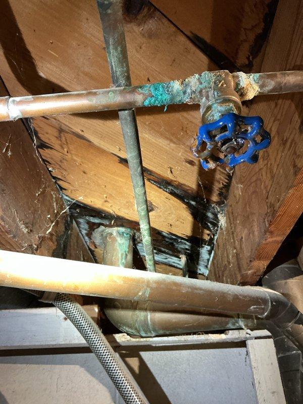 Responded to service call for leak repair in basement of 69-year-old vacant single-family home scheduled for sale. Upon arrival, accessed property and conducted thorough inspection of plumbing systems in basement and crawl space areas.

Discovered extensive corrosion on copper supply lines in crawl space, with significant green-blue patina (verdigris) indicating advanced deterioration. Main horizontal copper pipe exhibited rough, bumpy texture with turquoise discoloration covering substantial section. Blue-handled shutoff valve showed dark staining and corrosion around base and connection points. Secondary diagonal copper pipe also displayed patches of green corrosion consistent with aging plumbing system.

Inspected kitchen sink cabinet area and found double sink drain system with white PVC trap configuration. Examined chrome sink strainers, flexible braided supply lines, and associated drain connections. Noted dark spots on cabinet floor but determined these were pre-existing stains 