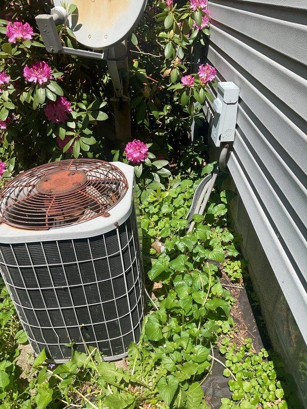 Completed routine air conditioning maintenance for residential cooling system. Performed standard inspection and servicing of cylindrical condenser unit with protective grille, verified proper operation of fan assembly with copper-colored guard, and ensured electrical connections and conduit were secure. Noted significant vegetation overgrowth around unit including rhododendron bushes and ground cover in close proximity to equipment, which may restrict airflow and reduce system efficiency if not addressed.