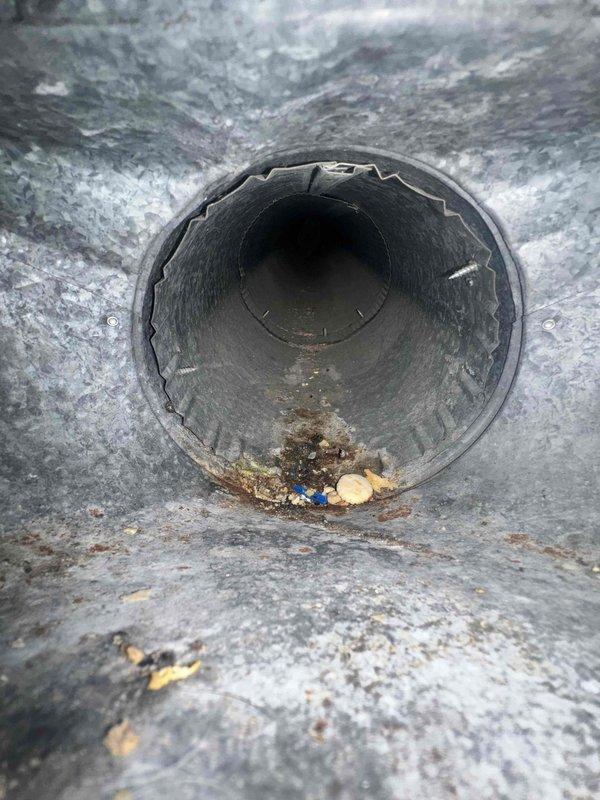 Completed comprehensive duct cleaning service for residential HVAC system with approximately 14-15 supply and return vents. Removed accumulated debris, dust, leaves, and organic matter from ductwork interior using professional vacuum equipment and agitation tools. Interior duct surfaces showed typical buildup consistent with normal system operation, including dust accumulation on walls and debris collection at register boots. All accessible ductwork sections were thoroughly cleaned to restore proper airflow and improve indoor air quality.