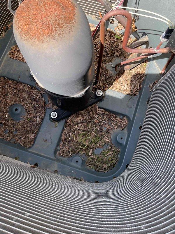# HVAC Maintenance - Cooling

Completed comprehensive MVP cooling maintenance visit on a 1-year-old system. Upon inspection, discovered heavily clogged air filter with significant accumulation of dirt, dust, and debris throughout the mesh structure, severely restricting airflow. Removed and replaced filter to restore proper system ventilation.

Inspected condenser unit and found substantial buildup of organic debris including pine needles, twigs, and dried plant material accumulated throughout the base panel and interior compartment. Cleaned all debris from unit base and surrounding components to prevent airflow obstruction and potential damage to electrical connections.

Examined capacitor and noted moderate rust discoloration and corrosion on top surface with orange-brown crusty buildup, indicating exposure to outdoor elements. Capacitor remains functional but condition documented for future monitoring. Verified proper mounting and electrical connections on capacitor and associated c