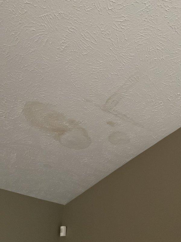 Conducted on-site assessment for existing corner-mounted jetted whirlpool bathtub replacement. Evaluated current installation including jet system, plumbing connections, and tub surround configuration. Identified water damage on ceiling above bathtub area indicating previous or ongoing moisture intrusion requiring attention during replacement process. Provided detailed estimate for removal of jetted tub and installation of standard bathtub, including assessment of necessary plumbing modifications, drain reconfiguration, and potential remediation work for water-damaged drywall. Documented existing conditions through photographic evidence for estimate preparation.