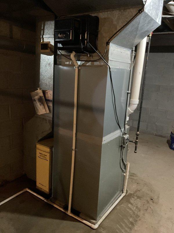 Performed main drain line snake out service to clear obstruction in the primary drainage system. Accessed the cleanout point via the vertical PVC drain line located in the basement area and successfully cleared the blockage using professional drain snake equipment. System tested and confirmed to be flowing properly upon completion of service.